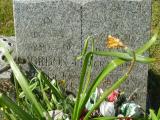 image of grave number 95089